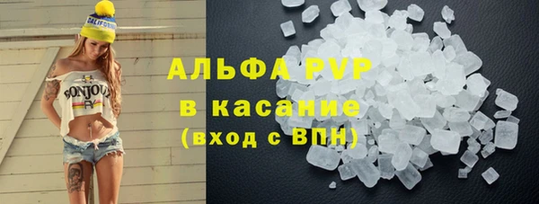 гидра Волоколамск