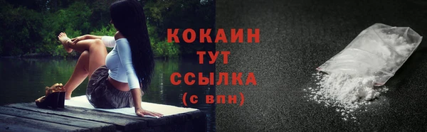 прущие грибы Володарск