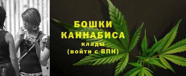 прущие грибы Володарск