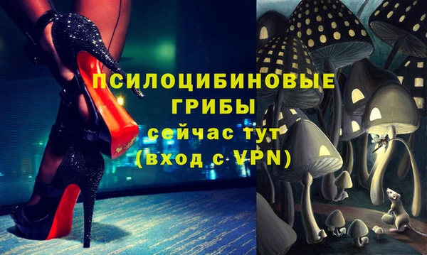 СК Волосово