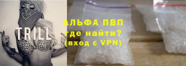 прущие грибы Володарск