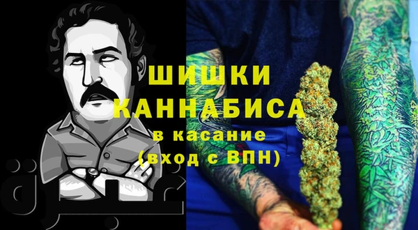 СК Волосово