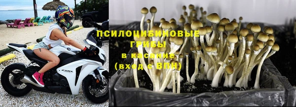 гидра Волоколамск