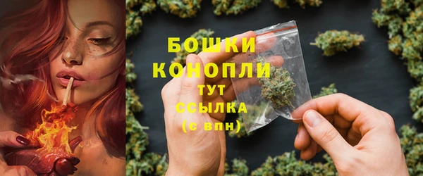 прущие грибы Володарск